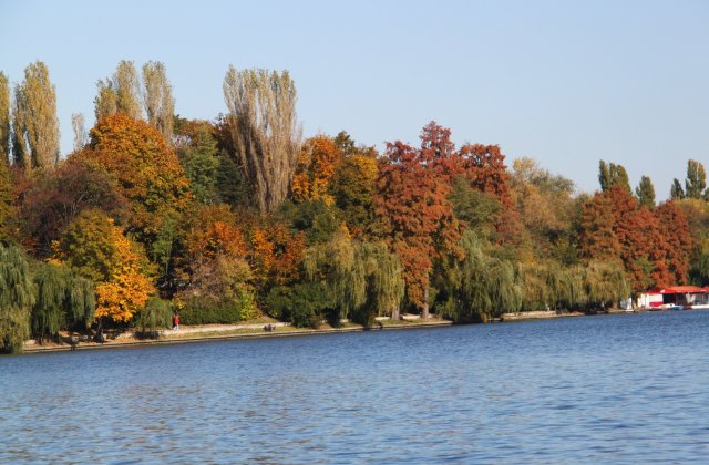 Parcul Herastrau se va numi "Regele Mihai I"