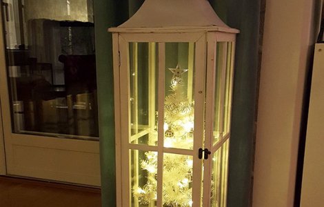  Top  10+ solutii amuzante pentru a-ti proteja bradul de Craciun de animalele de companie