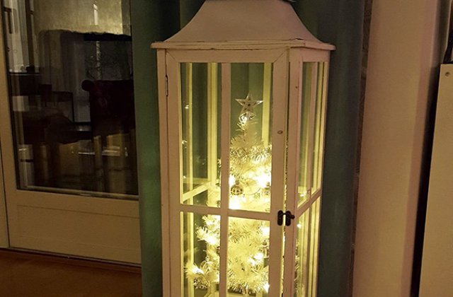 10+ solutii amuzante pentru a-ti proteja bradul de Craciun de animalele de companie