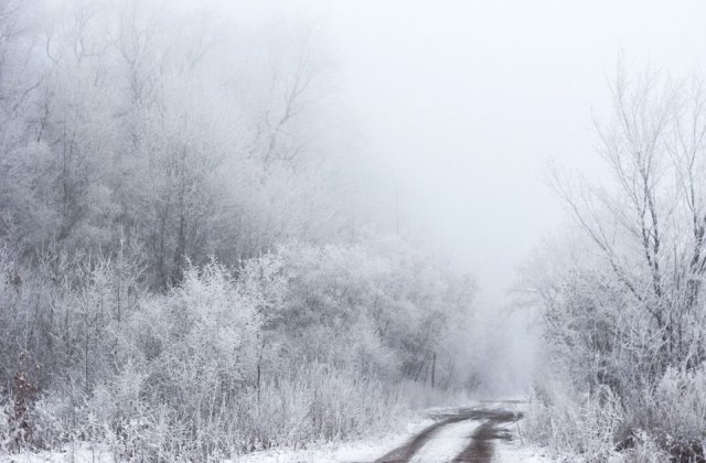 Cod GALBEN de ceata si polei in opt judete, in urmatoarele ore