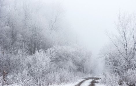 Cod GALBEN de ceata si polei in opt judete, in urmatoarele ore