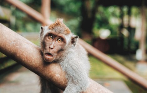  Top  10+ intamplari BIZARE care au marcat anul 2017