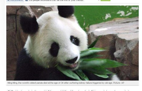 Cel mai batran urs panda din lume a murit