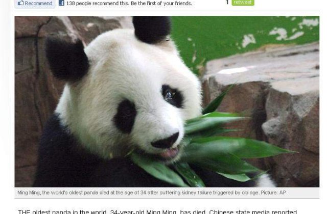 Cel mai batran urs panda din lume a murit