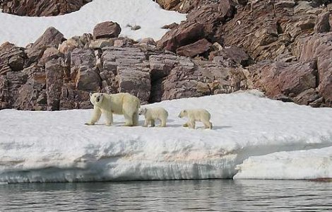 Danemarca revendica Polul Nord