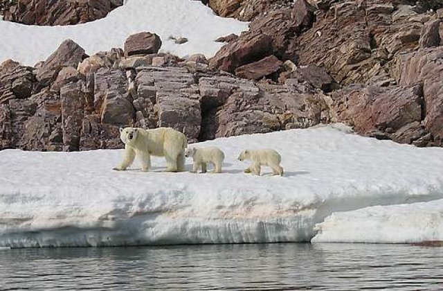 Danemarca revendica Polul Nord