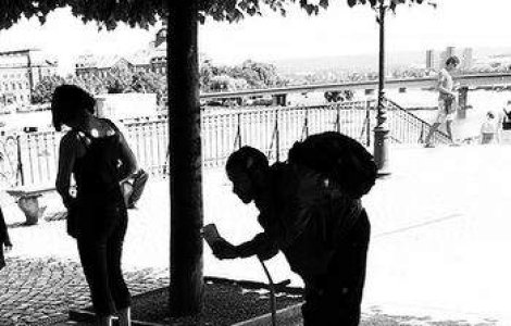 Prostituatele, cersetorii si contravenientii vor ingriji cainii strazii!