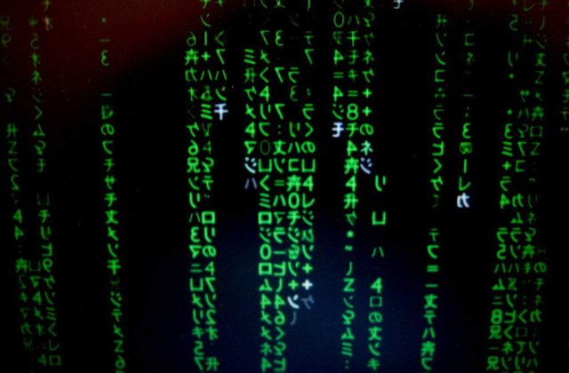 "Orice roman va avea si in lumea virtuala o identitate"