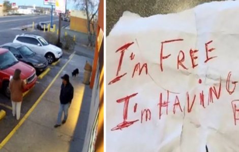 Bilet induiosator: De ce a fost abandonat acest caine