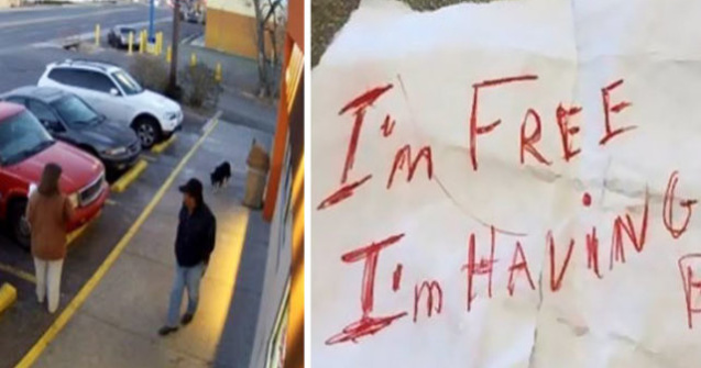 Bilet induiosator: De ce a fost abandonat acest caine