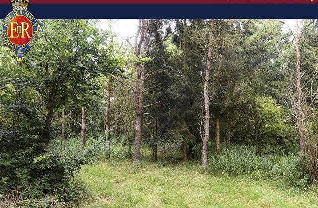 [FOTO] Sunt sase soldati camuflati in aceasta imagine. Ii poti identifica?