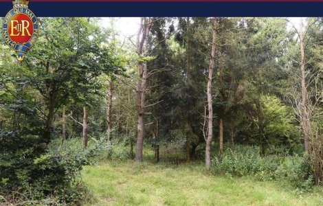 Sunt sase soldati camuflati in aceasta imagine. Ii poti identifica?