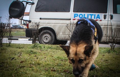 Suceava: Copil de doi ani, cautat de 100 de oameni, a fost gasit mort