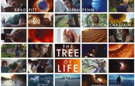  Video  Surpriza la Cannes: `Tree of Life` ia Palme d`Or!