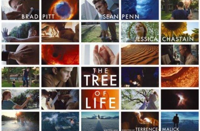 [VIDEO] Surpriza la Cannes: `Tree of Life` ia Palme d`Or!