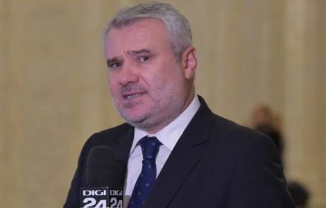 Stirbu (PNL): Este necesara demisia ministrului Afacerilor Interne, Carmen Dan