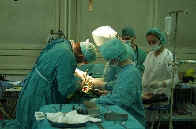 Asociatia Transplantatilor: Numarul de donatori a scazut dramatic, ajungand la circa 50% fata de 2016