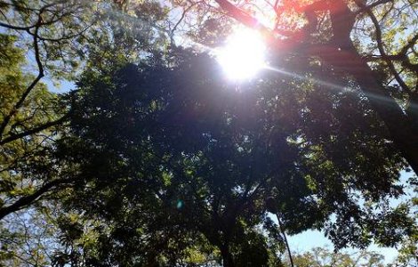 Vreme calda in toata tara