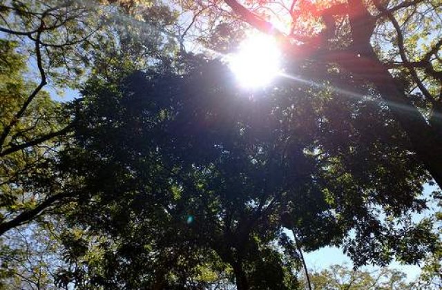 Vreme calda in toata tara