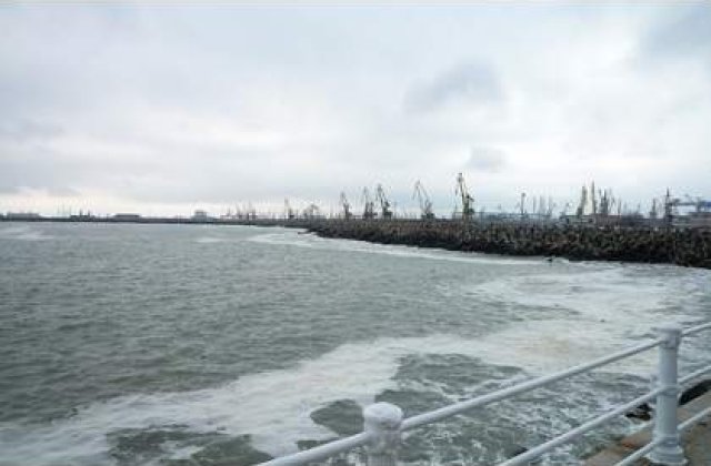 Importuri ilegale in Portul Constanta