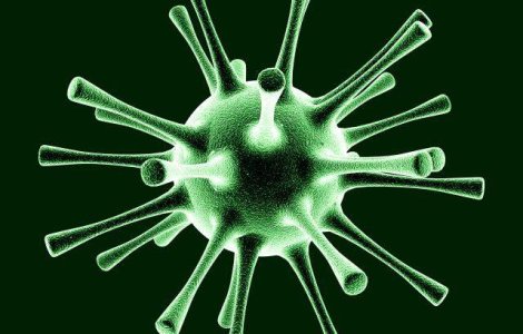 O bacterie starneste ingrijorare in Germania