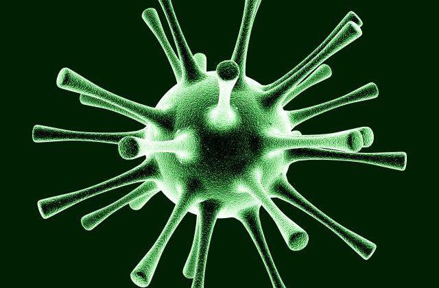 O bacterie starneste ingrijorare in Germania