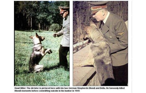 Nazistii dresau cainii sa vorbeasca