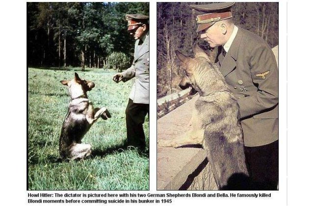 Nazistii dresau cainii sa vorbeasca