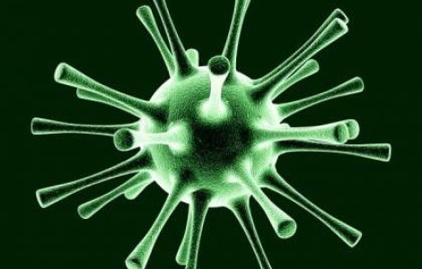 Bacteria ucigasa se raspandeste in Europa