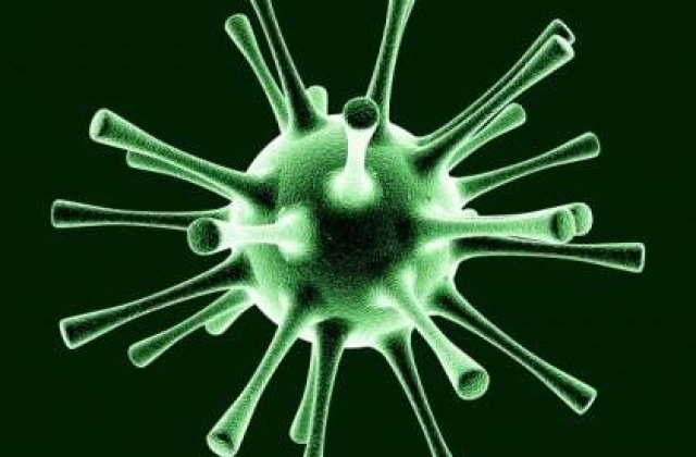 Bacteria ucigasa se raspandeste in Europa