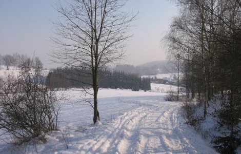 Un barbat a murit pentru ca ambulanta nu a putut ajunge la timp din cauza vremii nefavorabile