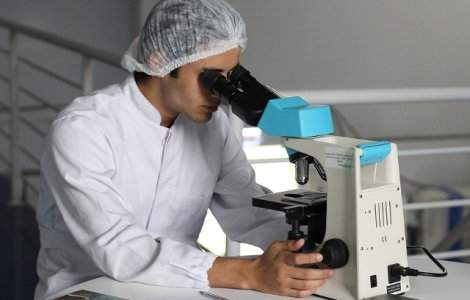 Studiu: O proteina cu potential anti-imbatranire ar putea combate o serie de afectiuni