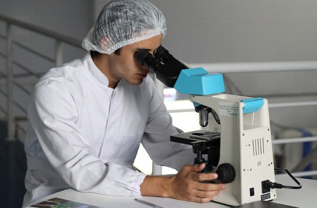 Studiu: O proteina cu potential anti-imbatranire ar putea combate o serie de afectiuni