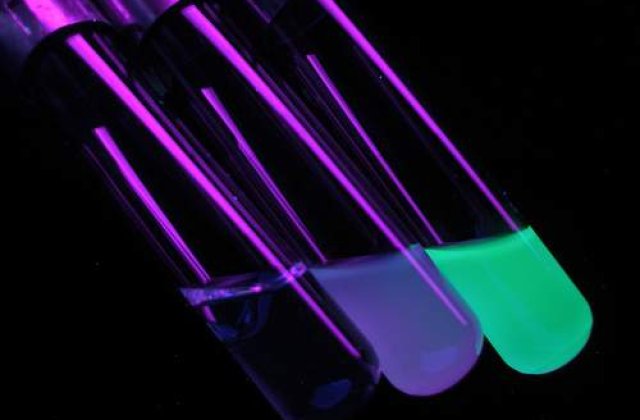 Bacteria E.coli a ajuns in Suedia: Numarul victimelor se ridica la 39