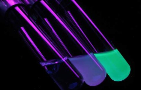 Bacteria E.coli a ajuns in Suedia: Numarul victimelor se ridica la 39