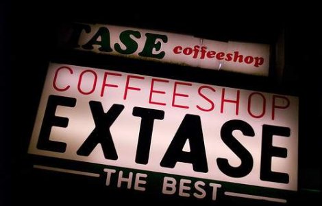  Video  Olanda spune stop turismului drogurilor