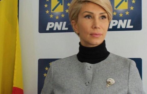 Turcan: In Romania de azi exista o prapastie intre puterea politica si asteptarile celor multi