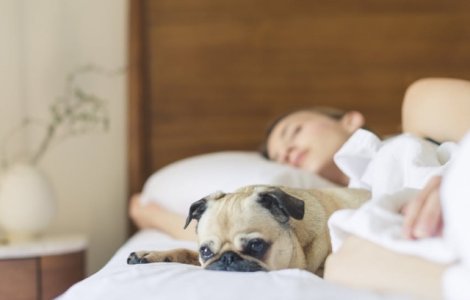 Somnul insuficient afecteaza metabolismul si speranta de viata