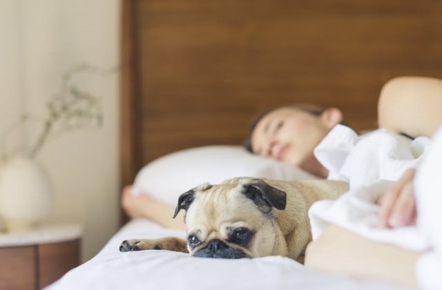 Somnul insuficient afecteaza metabolismul si speranta de viata