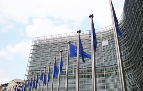 PNL: Costul pentru Romania al pozitiei CE este afectarea grava a imaginii tarii in plan european si international