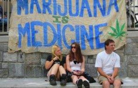 Marile personalitati ale lumii au strigat in cor: Sa se legalizeze marijuana!