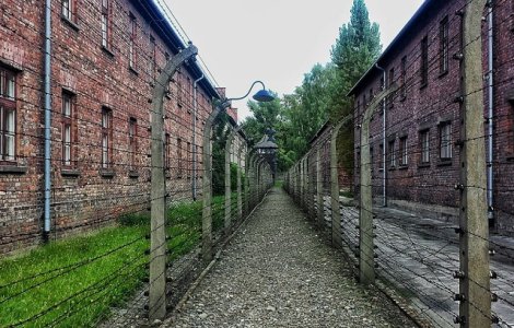 MAE, de ziua comemorarii Holocaustului: Sustinem educarea tinerei generatii in spiritul drepturilor si libertatilor omului
