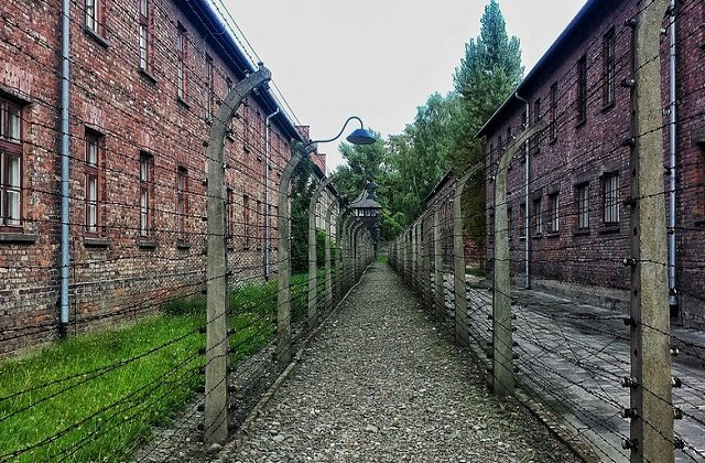 MAE, de ziua comemorarii Holocaustului: Sustinem educarea tinerei generatii in spiritul drepturilor si libertatilor omului