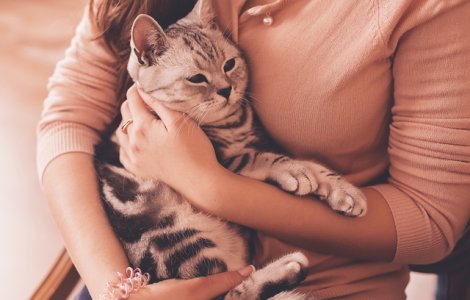  Top  6 intrebari simple la care stiinta nu are raspuns