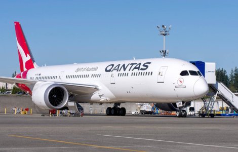 O companie aeriana vrea sa reduca emisiile de carbon, folosind combustibil din boabe de mustar