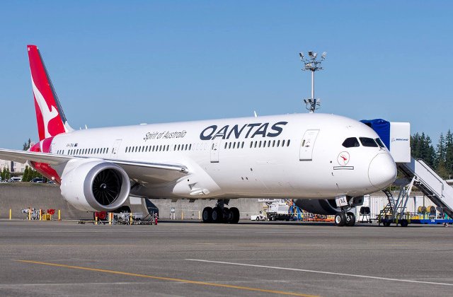 O companie aeriana vrea sa reduca emisiile de carbon, folosind combustibil din boabe de mustar