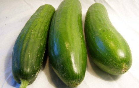 Castravetii romanesti, la gunoi. Ministerul Agriculturii cere despagubiri