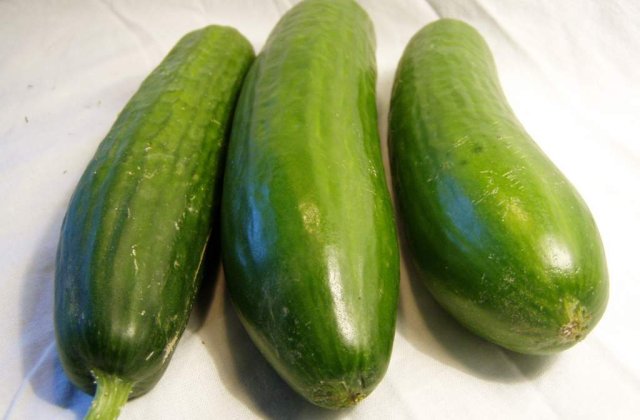 Castravetii romanesti, la gunoi. Ministerul Agriculturii cere despagubiri