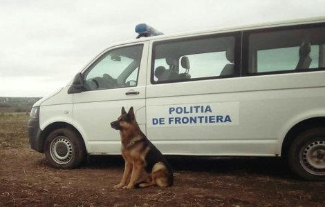 Peste 500.000 de lei au fost gasiti in curtea unor contrabandisti de tigari din Constanta