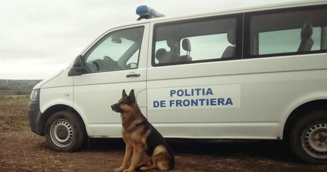 Peste 500.000 de lei au fost gasiti in curtea unor contrabandisti de tigari din Constanta